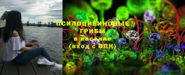 jwh Аркадак