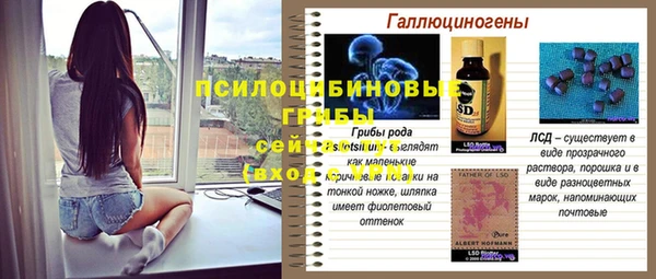 первитин Осташков